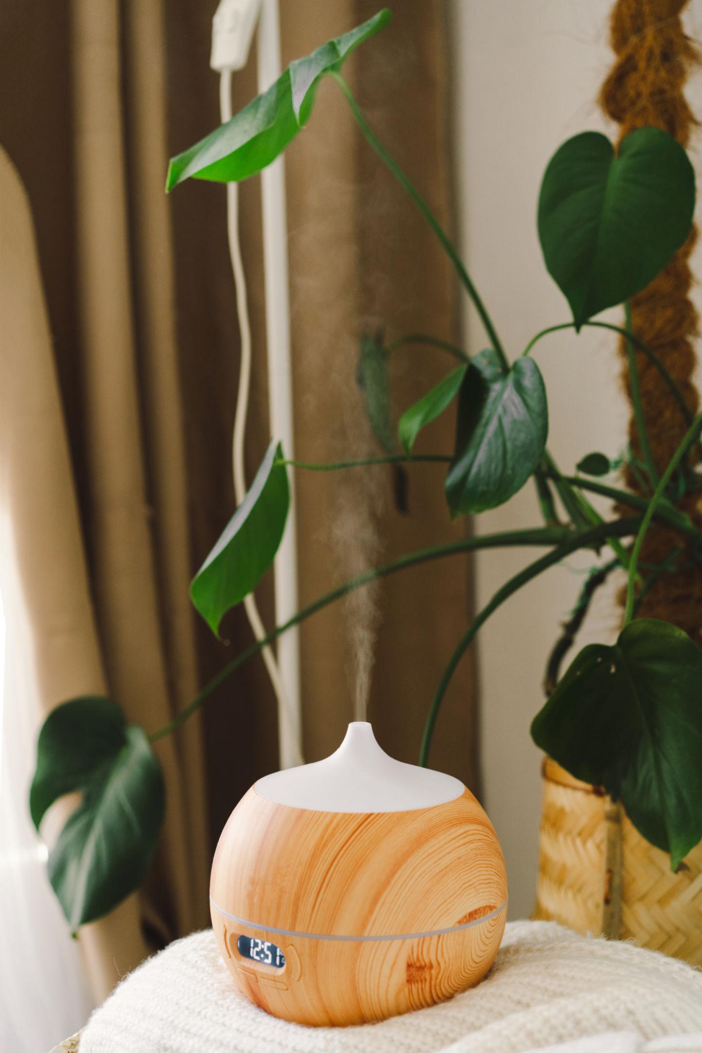 Kebiasaan Kecil yang Membantu Hari Terasa Lebih Tenang dan Stabil